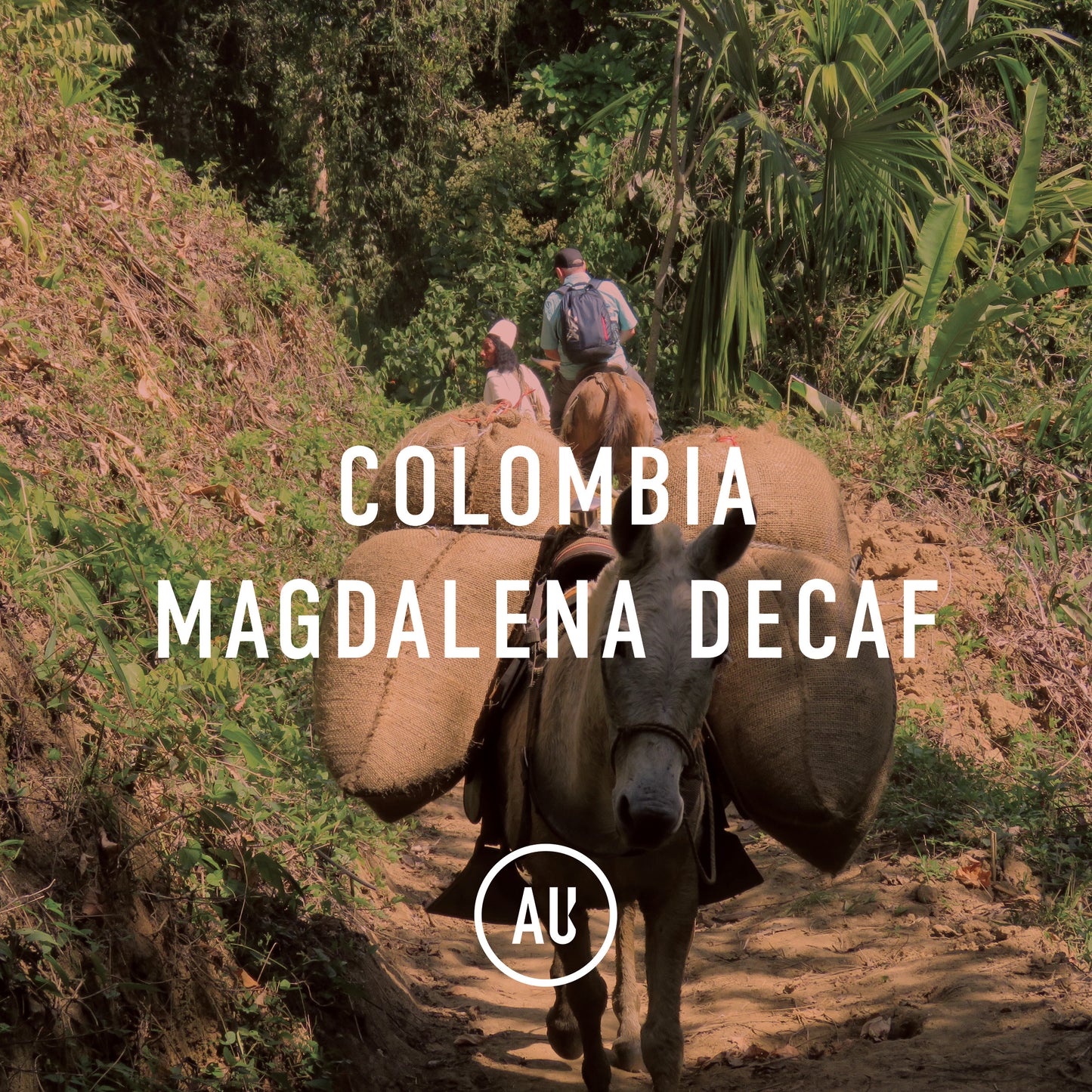 Colombia Magdalena Decaf
