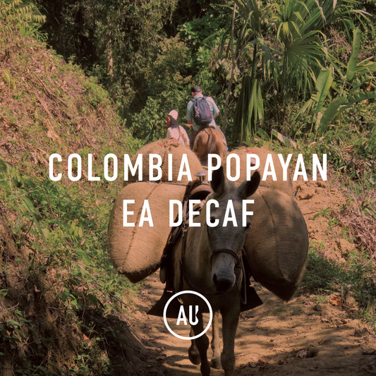Colombia Popayan EA Decaf 35kg