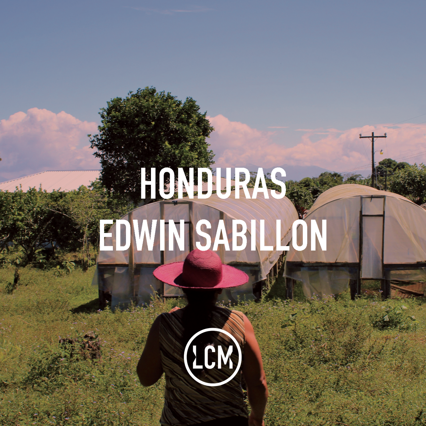 Honduras Edwin Sabillon Parainema Honey 69kg