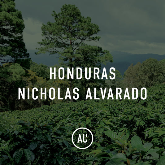 Honduras Nicholas Alvarado W 35kg