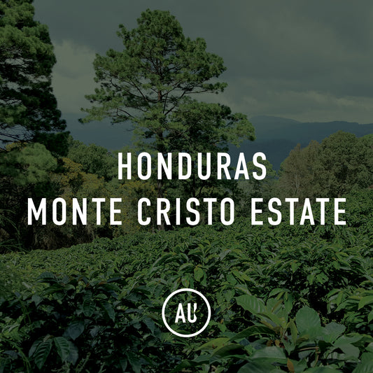 Honduras Monte Cristo Estate Organic Decaf 35kg
