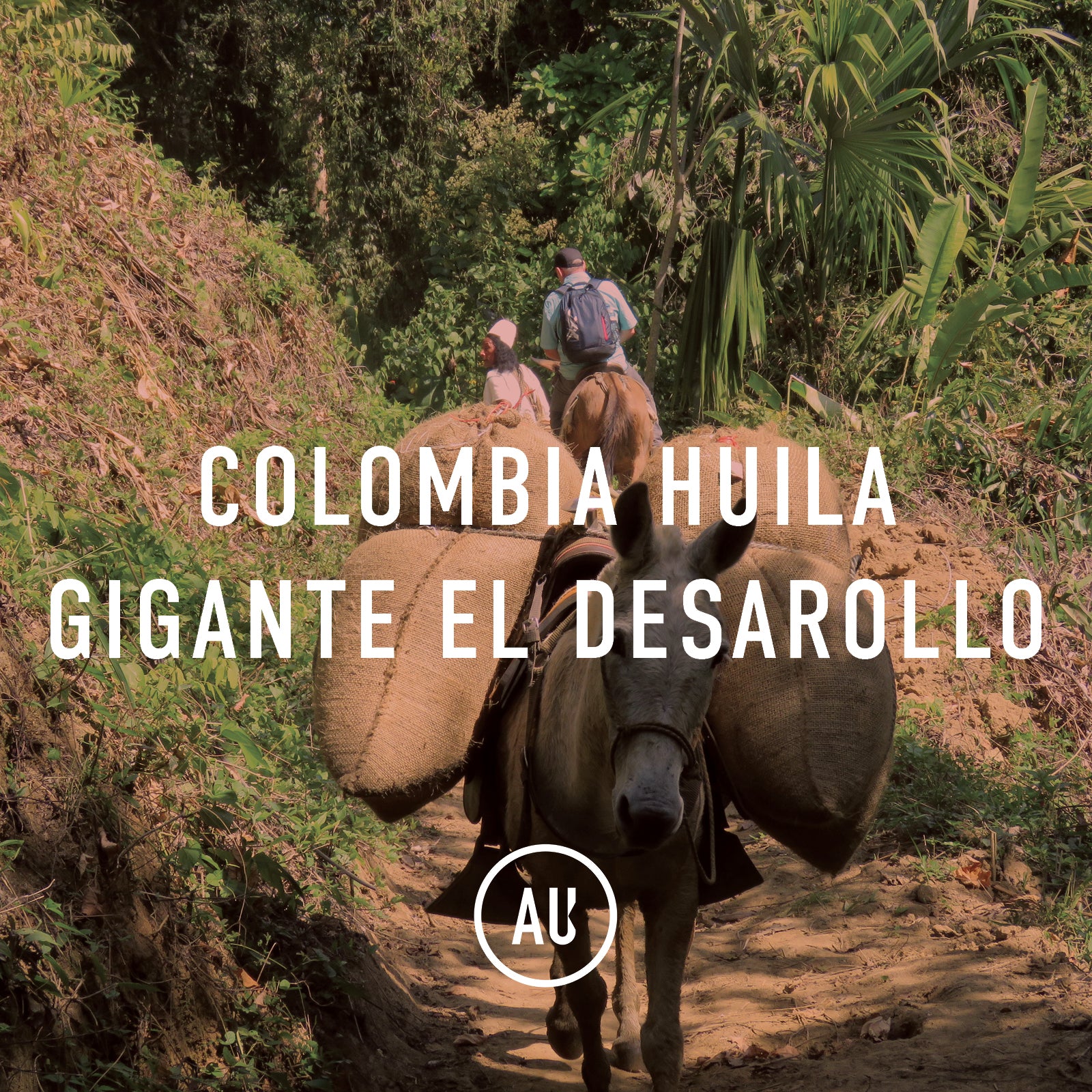Giant Colombia