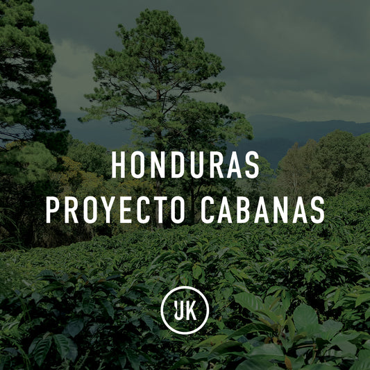 Honduras Proyecto Cabanas Washed 69kg