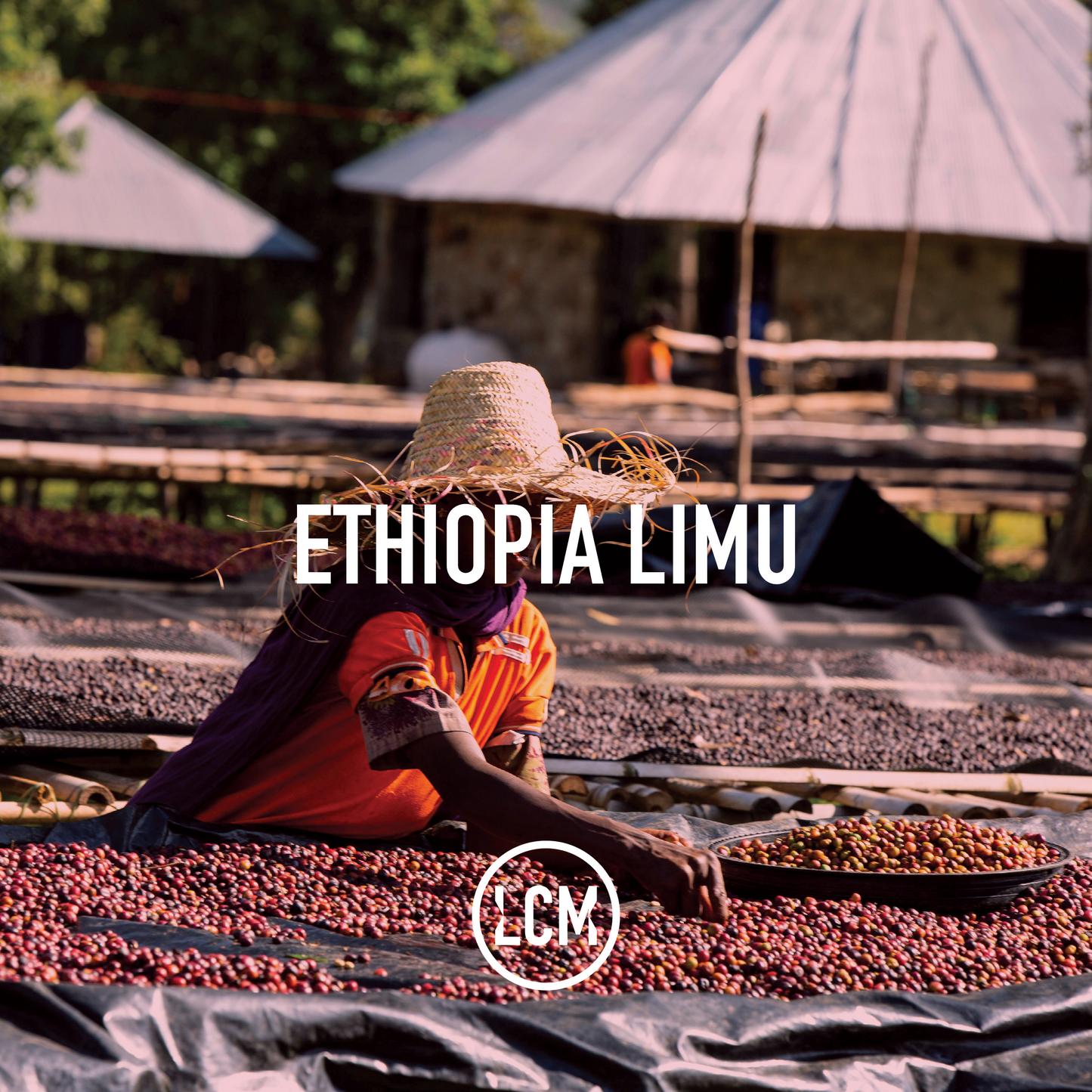 Ethiopia Limu Premium GR2 Washed 60kg GP