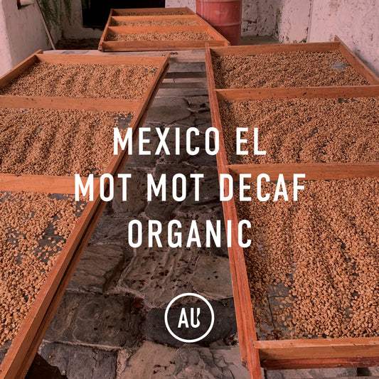 Mexico El Mot Mot Organic Decaf 30kg