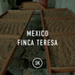 Mexico Finca Teresa Washed 69kg
