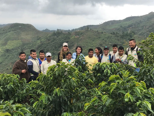 Tackling the COVID-19 Coffee Crisis: Can Blockchain Strengthen the Link Between Producers and Buyers?