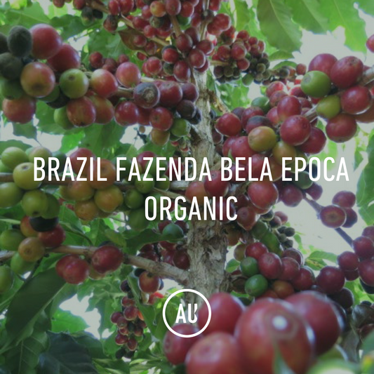 Brazil Fazenda Bela Epoca organic 30KG Klabin