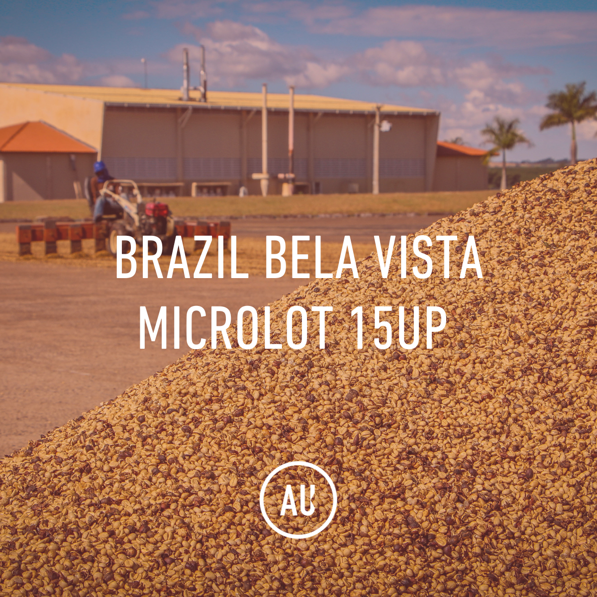 Brazil Bela Vista Micro-Lot 15UP 30kg