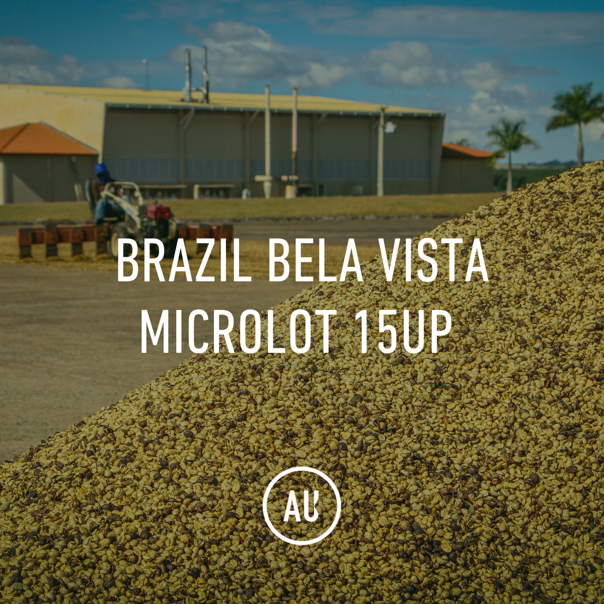 Brazil Bela Vista Micro-Lot 15UP 30kg