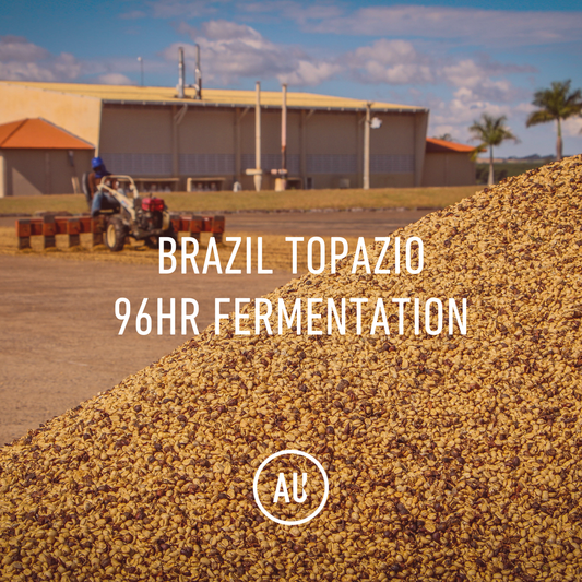 Brazil Topazio 96hr Fermentation 30kg