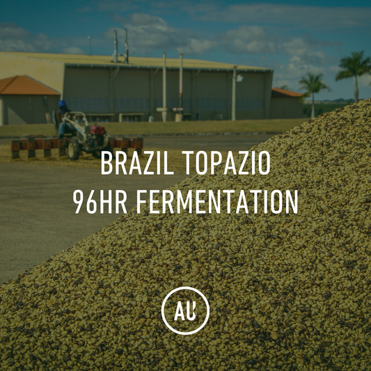 Brazil Topazio 96hr Fermentation 30kg