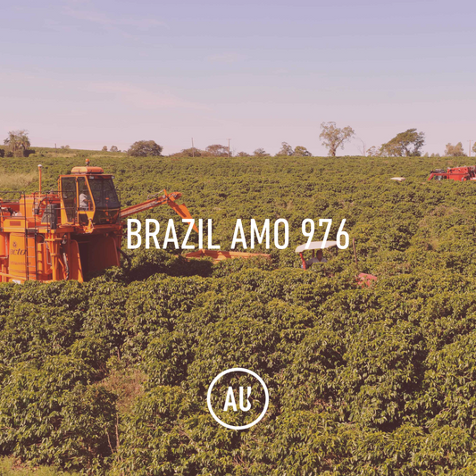 Brazil Amo 976 Acaia Natural 30kg