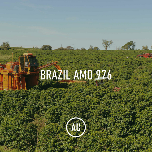 Brazil Amo 976 Acaia Natural 30kg