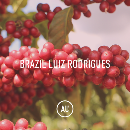 Brazil Luiz Rodrigues Double Fermentation 30kg