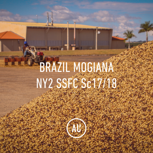 Brazil Mogiana NY2/3 SSFC 17/18 30kg