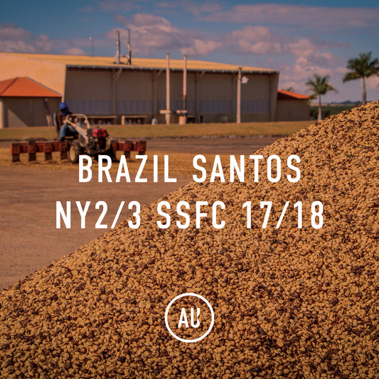 Brazil Santos NY2/3 SSFC 17/18 30kg