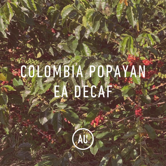 Colombia Popayan EA Decaf 35kg