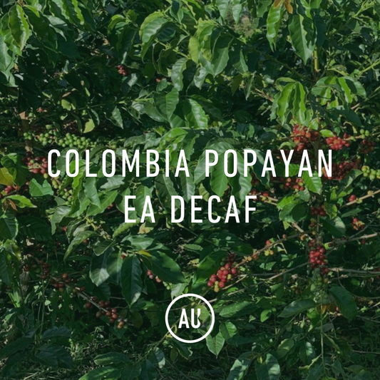 Colombia Popayan EA Decaf 35kg