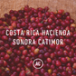 Costa Rica Hacienda Sonora Catimor 35kg