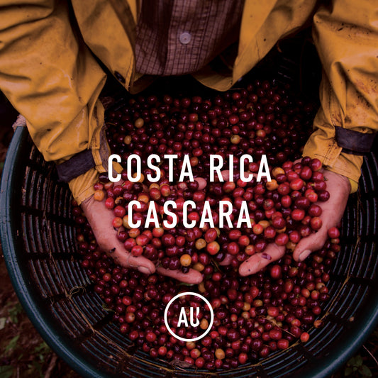 Costa Rica Hacienda Sonora Cascara Cherry