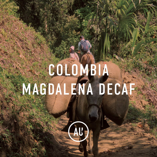 Colombia Magdalena Decaf