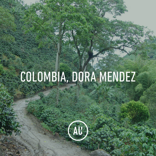 Colombia D. Mendez, Fc Buena Vista, Washed, 70kg, GP