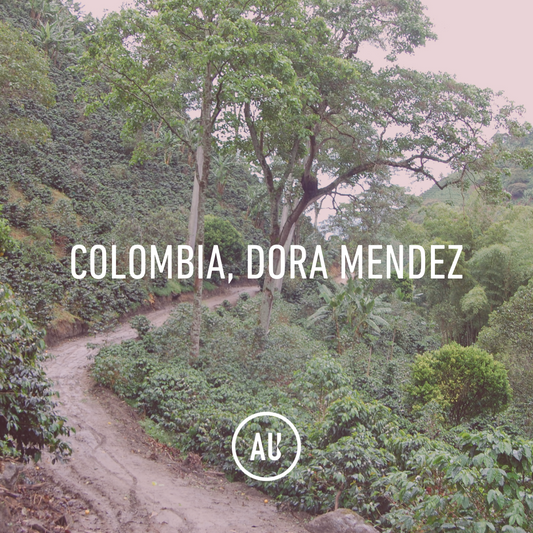 Colombia D. Mendez, Fc Buena Vista, Washed, 70kg, GP