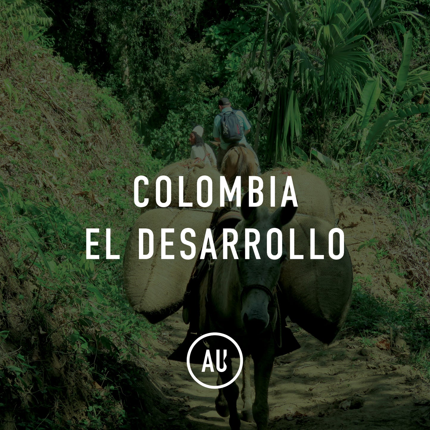 Colombia El Desarrollo
