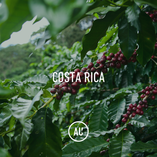 Costa Rica HB EP 69kg GP