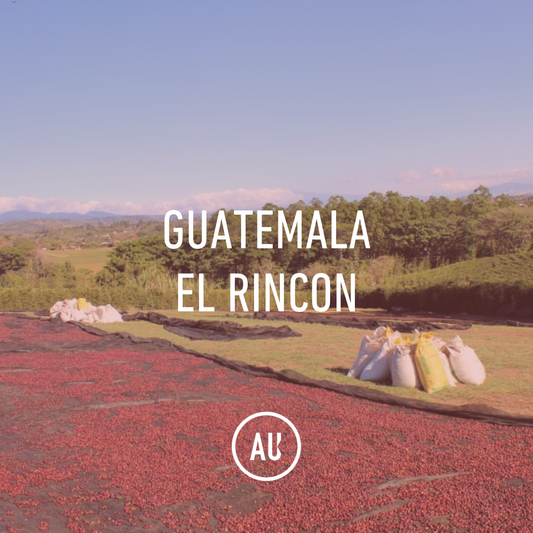 Guatemala El Rincon 69kg