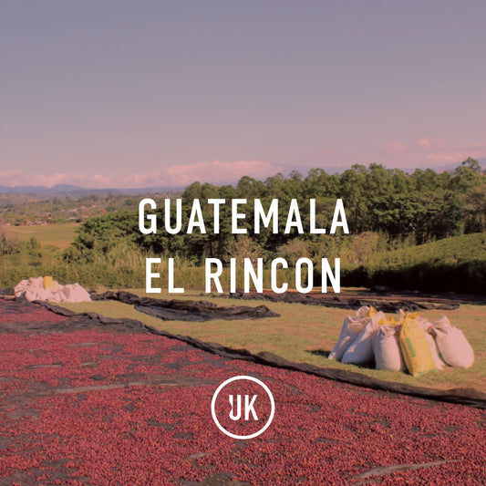 Guatemala La Danta Finca El Rincon W 69kg