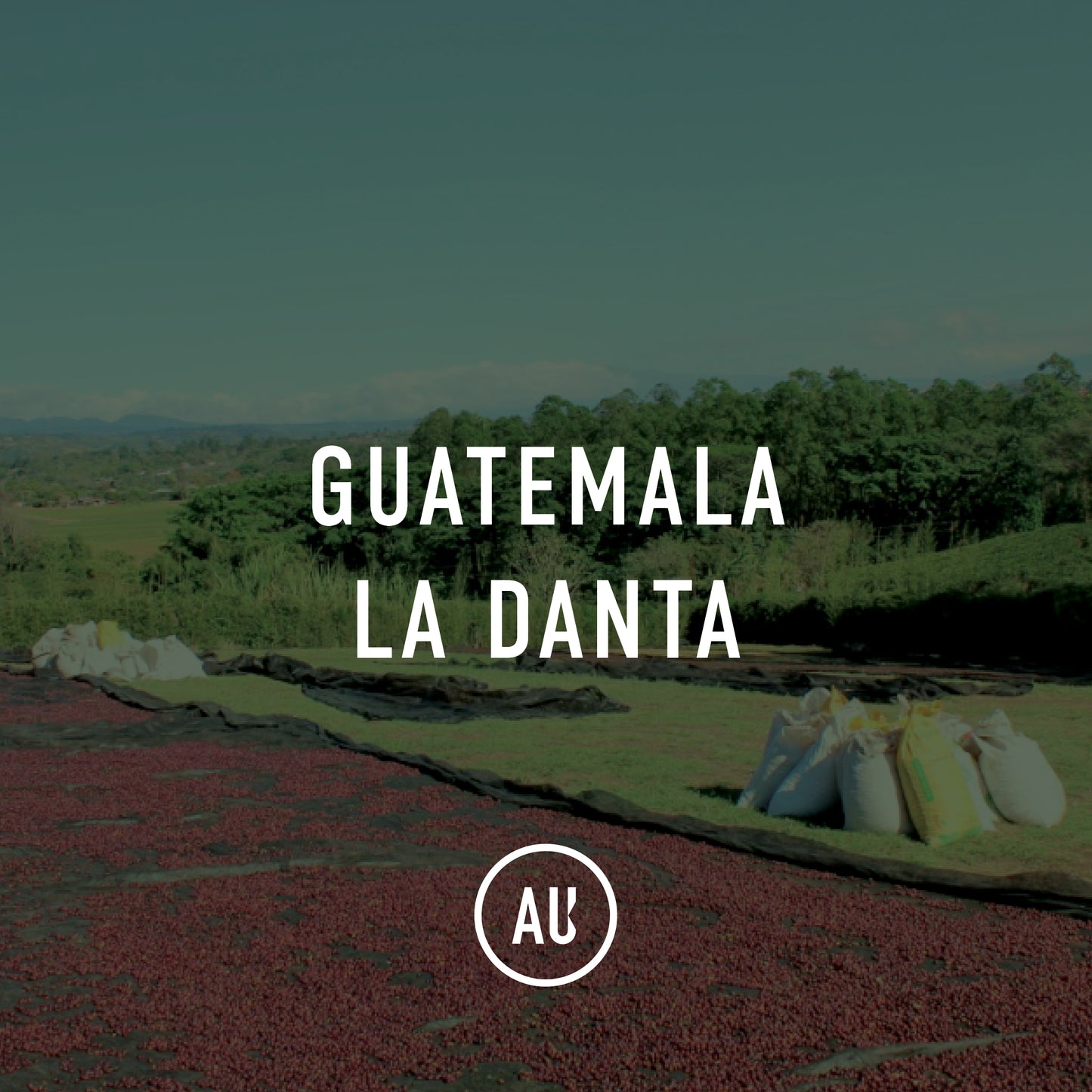 Guatemala La Danta I