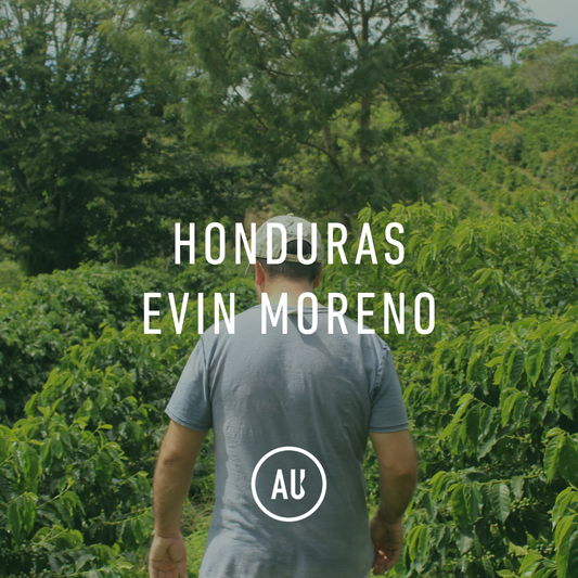 Honduras Evin Moreno 35kg