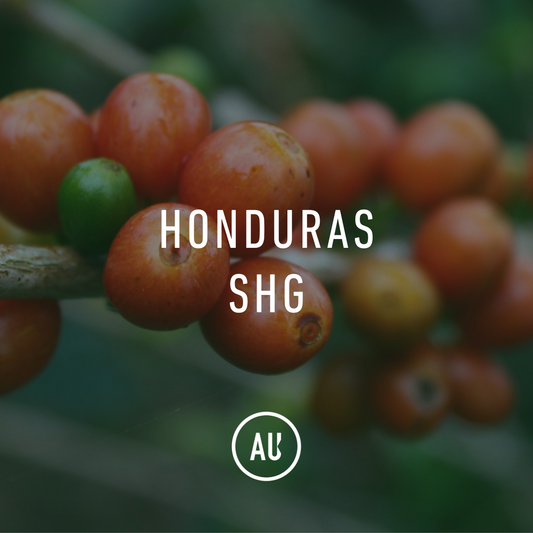 Honduras SHG W 69kg