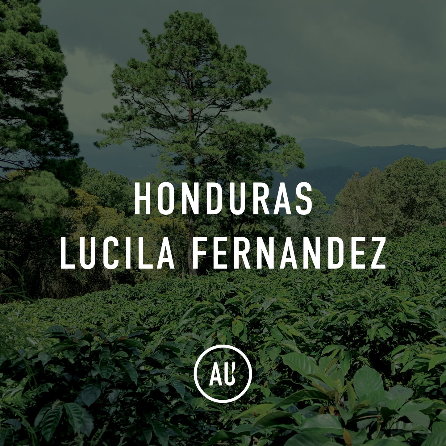 Honduras Lucila Fernandez