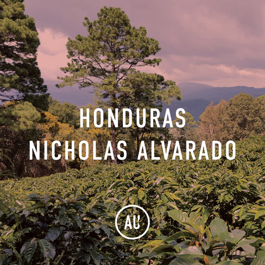 Honduras Nicholas Alvarado W 35kg