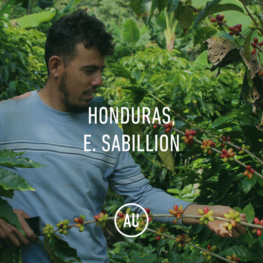 Honduras E. Sabillon, El Plan, Washed, 69kg.