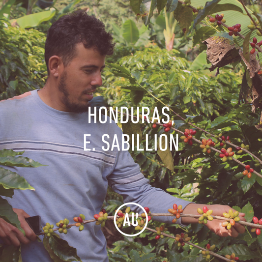 Honduras E. Sabillon, El Plan, Washed, 69kg.