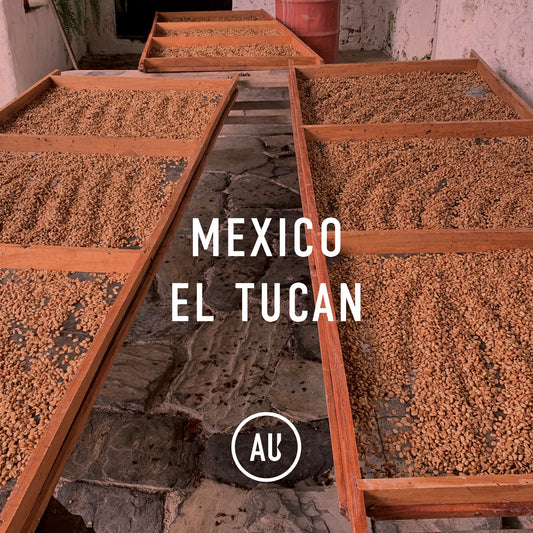 Mexico El Tucan SHG Organic Decaf