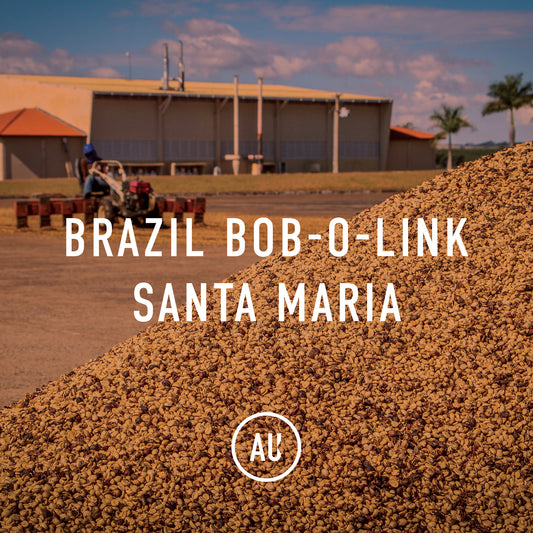 Brazil Bob-o-link Santa Maria Catuai Pulped Natural
