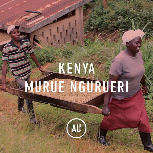 Kenya Murue Ngurueri AA 30kg