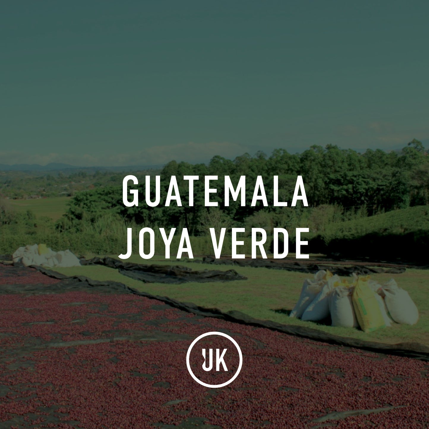 Guatemala Joya Verde