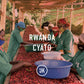 Rwanda Cyato N