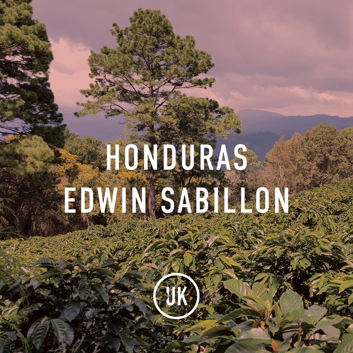 Honduras Edwin Sabillon Honey