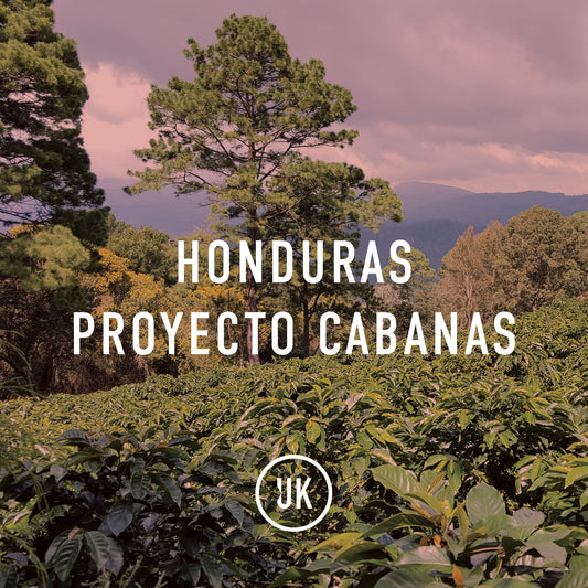 Honduras Proyecto Cabanas Washed