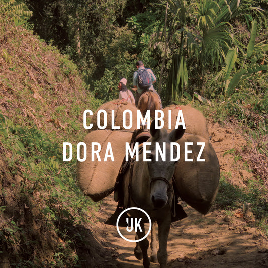 Colombia Dora Mendez W