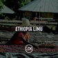 Ethiopia Limu Premium GR2 Washed 60kg GP