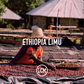 Ethiopia Limu Premium GR2 Washed 60kg GP