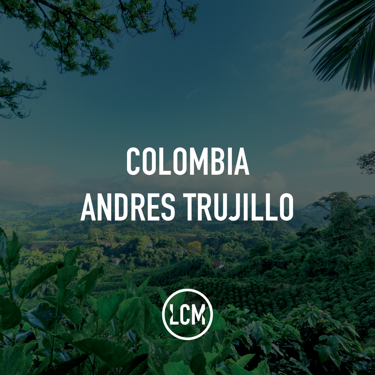 Colombia Andres Trujillo Natural 70kg